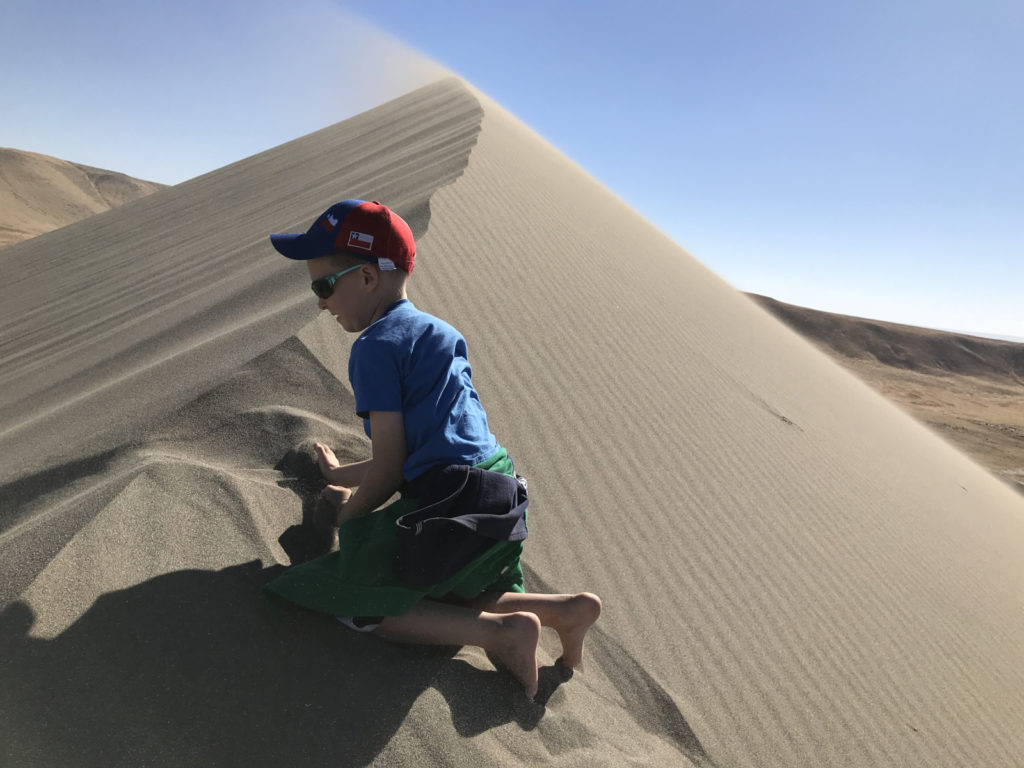 The ridgeline of Bruneau Sand Dune. Very Windy!