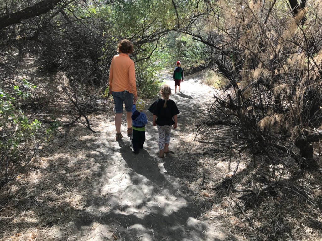 A beautiful walk through the bush to reach the base of the big dune.