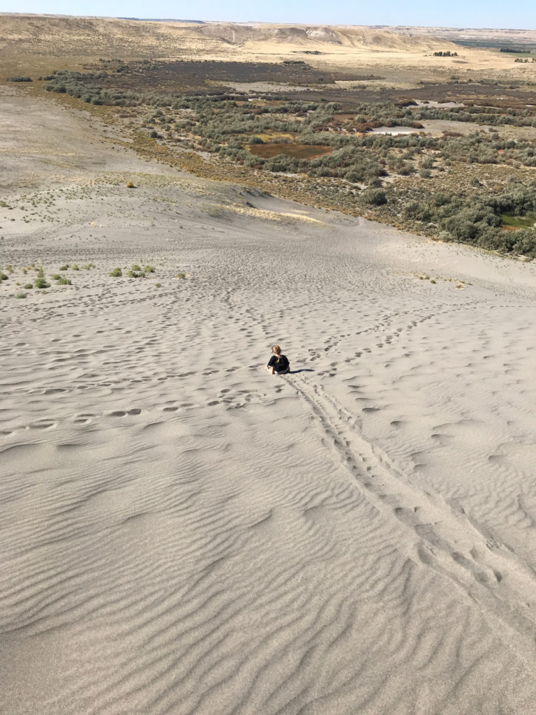 Sliding down the Bruneau Sand Dunes