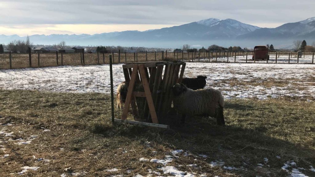 Easy Pallet Hay Feeder